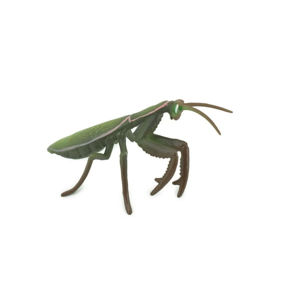 Praying Mantis, Mantodea, Museum Quality, Rubber Insect, Design, Educational, Hand Painted, Figure, Lifelike Toy, Model, Figurine, Replica, Gift, 5" CH302 BB181