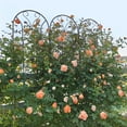 thumbnail image 5 of 4-Pack 86.7"H×19.7"W Black Peacock Style Metal Garden Trellis Rustproof Support for Climbing Plants & Flowers, 5 of 16