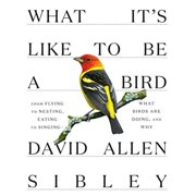 DAVID ALLEN SIBLEY What It's Like to Be a Bird: From Flying to Nesting, Eating to Singing--What Birds Are Doing, and Why
