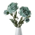 thumbnail image 2 of Flor artificial 1 flor 1 capullo seco quemado rama de peonía decoración del hogar, 2 of 8