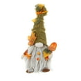 thumbnail image 2 of 13'' Gnomes Ligths Fall Decorations for Home, Fall Decor Farmhouse Autumn Table Centerpiece, Thanksgiving Halloween Decoration Indoor, Swedish Elf Doll with Lights Table Decors Gifts for Adult Kids, 2 of 8