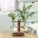 thumbnail image 4 of Terrario de bulbos de cristal para plantas, jarrón transparente, macetas retro con soporte de madera Style2, 4 of 6