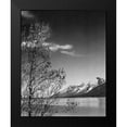 thumbnail image 2 of Adams, Ansel 12x14 Black Modern Framed Museum Art Print Titled - View of mountains with tree in foreground, Grand Teton National Park, Wyoming, 1941, 2 of 5
