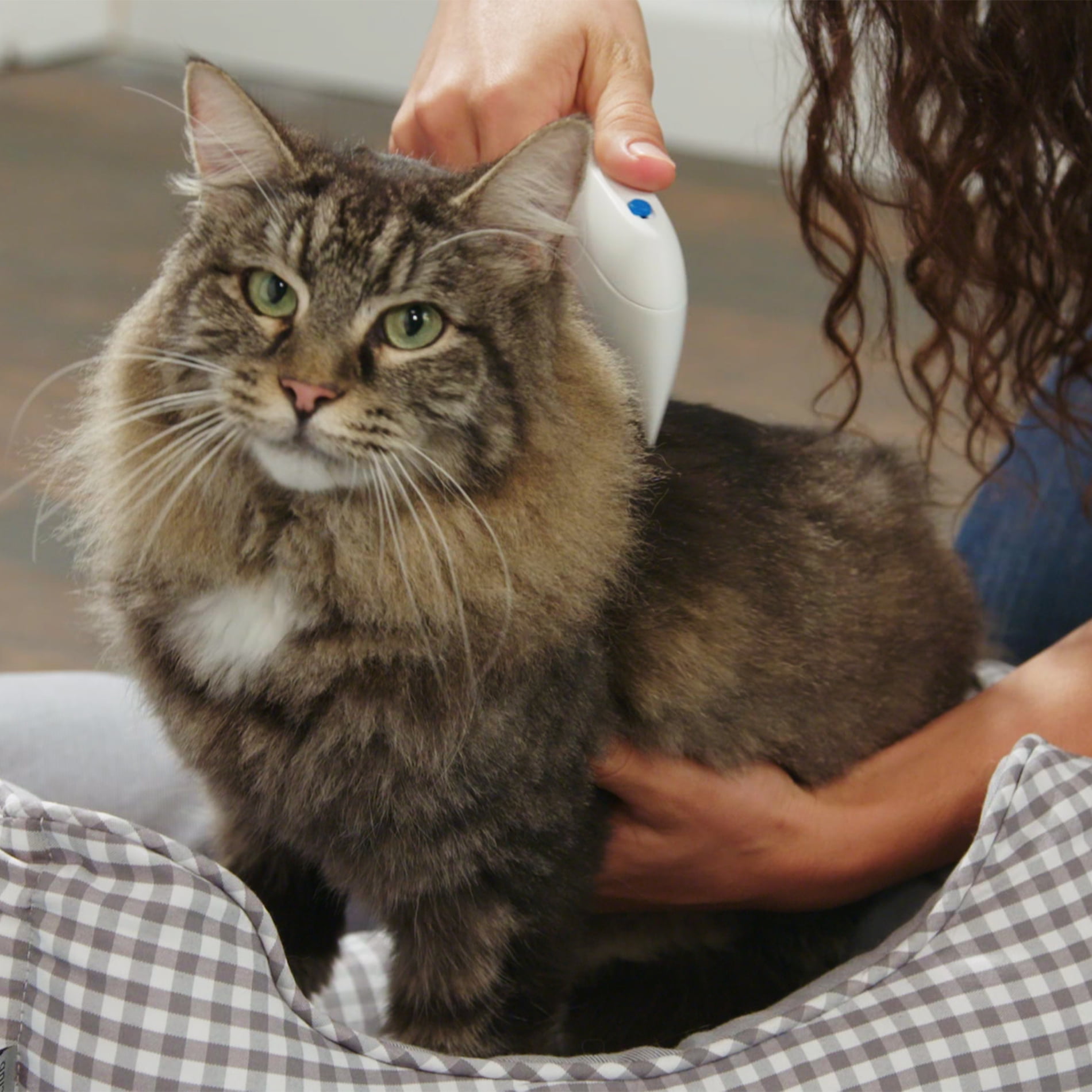 flea comb that zaps fleas