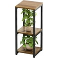 thumbnail image 1 of Support pour Plantes d'Intérieur, Coin, Haut, en Métal, Moderne, Étagère de Rangement pour Fleurs, Support pour Plantes pour Salon, Balcon, Jardin ( - Rond), 1 of 6