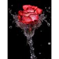 thumbnail image 1 of Pintura de Diamante 30 x 40 cm MACHAO Bordado 5D Decoración de Pared, 1 of 5