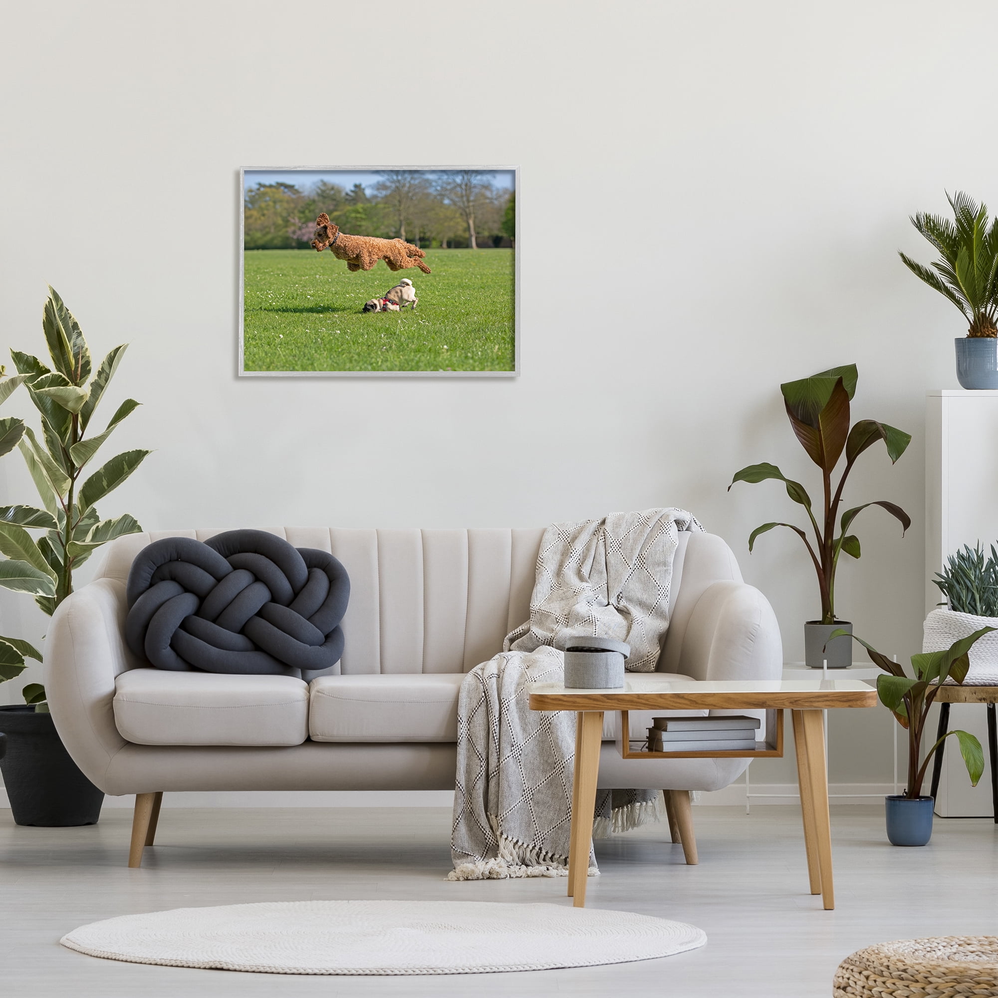Stupell Industries Jumping Dogs in Field Animals & Insects Photography Gray Framed Art Print Wall Art, 30 x 24