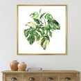 thumbnail image 2 of Designart 'Tropical Green Leaves On White In Summer Times I' Tropical Framed Canvas Wall Art Print, 2 of 5