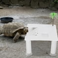thumbnail image 4 of Turtle Basking Platform Tortoise Dock Basking Area with Strong Suction Cup Tortoise Basking Platform Sucker Turtle Tank Floating Climbing Platform, 4 of 7