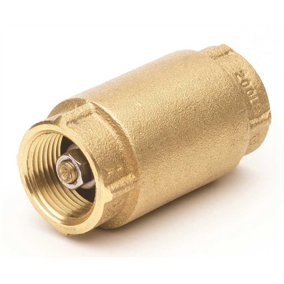 Homewerks Worldwide 241-2-2-2 2 in. Lead Free Brass FIP x FIP Spring Check Valve