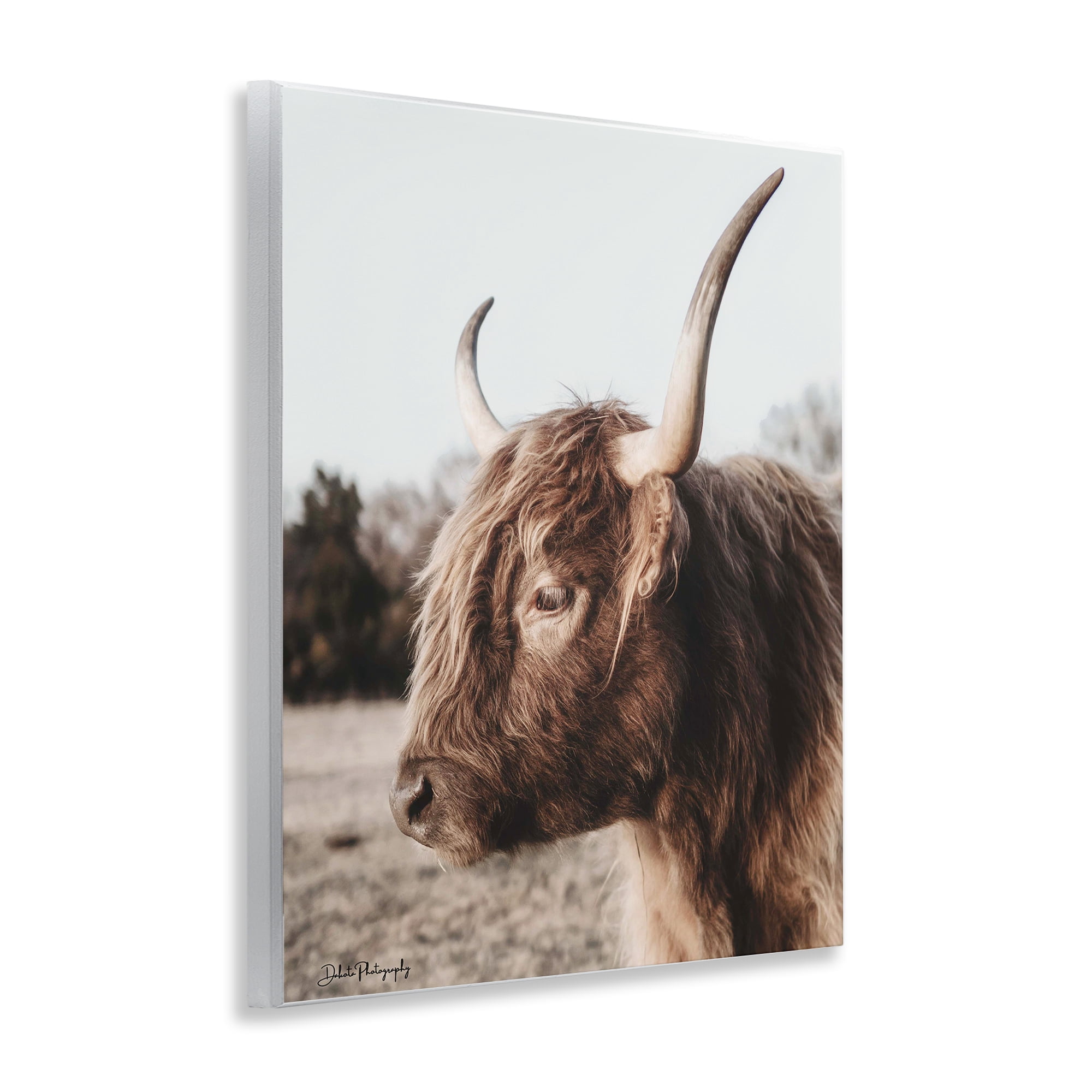 Stupell Industries Horned Cattle Peering Wall Plaque Art, design by Dakota Diener
