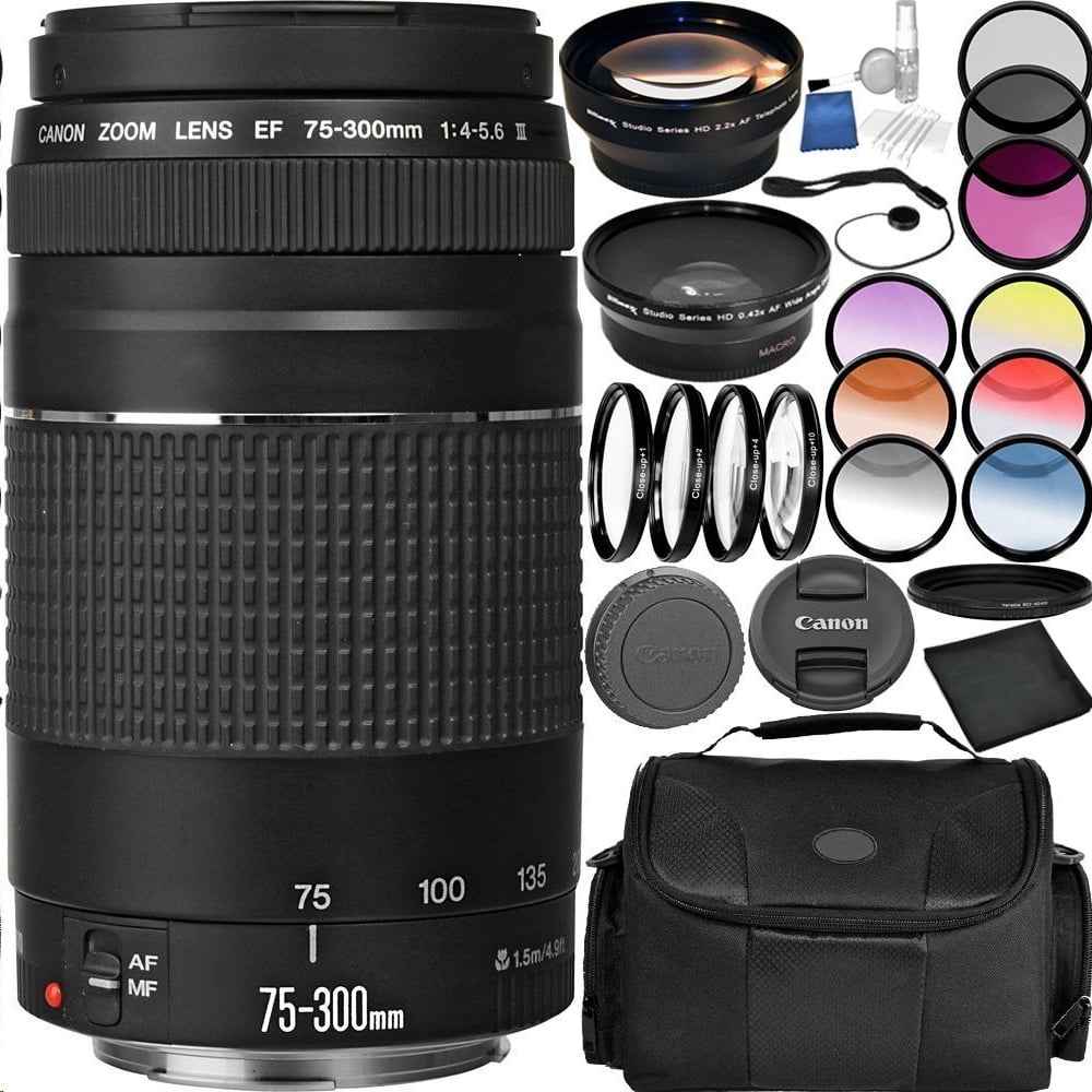 Canon Ef 75 300mm F 4 5 6 Iii Lens Bundle With Carrying Case And Accessory Kit 29 Items Walmart Com