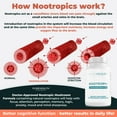 thumbnail image 6 of Nootropics Brain Support Supplement, Lions Mane, Shiitake, Chaga, Reishi Mushroom Powder - Enhance Memory and Improve Cognitive Health by PureHealth Research, 6 of 8