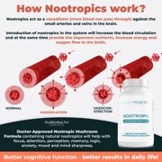 Nootropic Mushroom Formula with Bacopa Monnieri, 3 Bottles