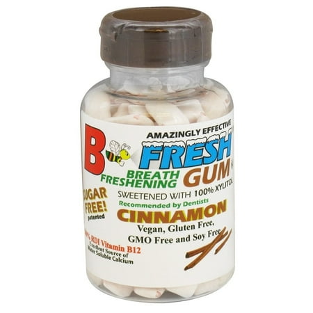 B Fresh - Breath Freshening Sugar Free Gum Cinnamon - 100 Piece(s) (pack of