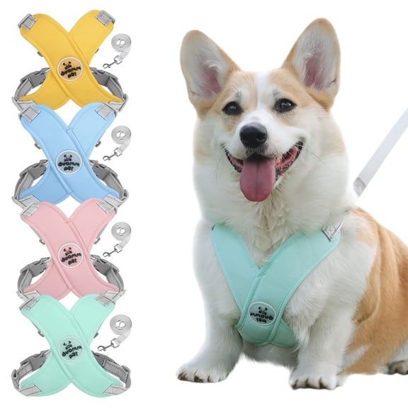Dog Harness and Leash Set Adjustable Padded Vest Breathable Nylon X-Shaped Chest Strap for Walking Training, Mint Green Size S