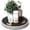 Gray, variant on Pine Wood Non-Skid Lazy Susan for Table Top – 10.5" Lazy Susan Turntable for Cabinet, Kitchen Decor & Coffee Table - Ideal as a Spice Rack & Bathroom Tray with Rubber Mat (Green)