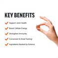 Force Factor Better Turmeric Chews, Turmeric and Curcumin Supplement