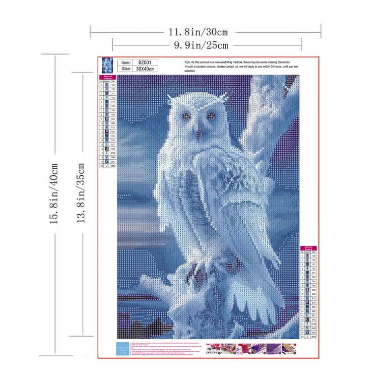 WSLWXSHM Owl Diamond Painting Kit For Adults – Full Round Drill 5D DIY Wall Art – 12x12 Inch Animal Decor