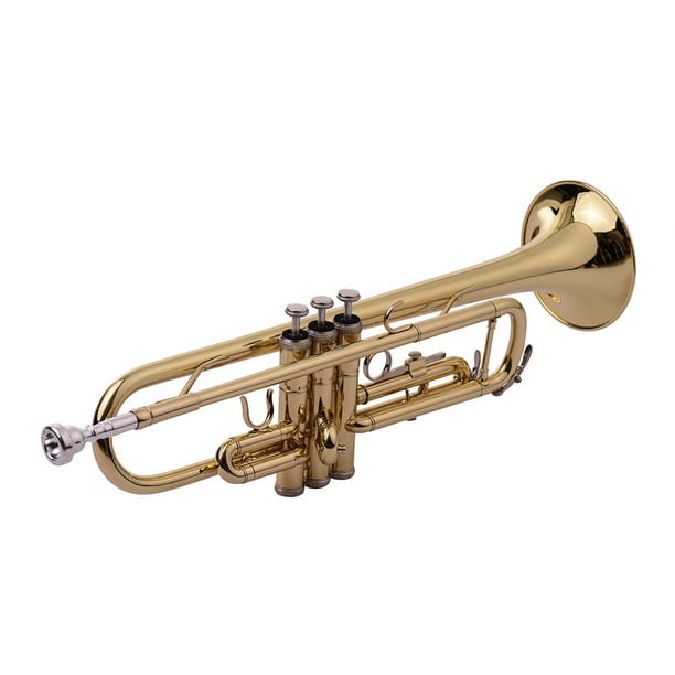 Acheter Mini trompette de poche Bb, Instrument à vent plat en laiton avec  embout, gants, chiffon de nettoyage, étui de transport