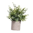 thumbnail image 4 of Mini planta falsa en maceta, planta artificial, realista, versátil, decoración, vegetación para Estilo C, 4 of 9