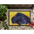 thumbnail image 3 of Carolines Treasures SS8839JMAT Pomeranian Doormat 24x36 36"L x 24"W multicolor, 3 of 4