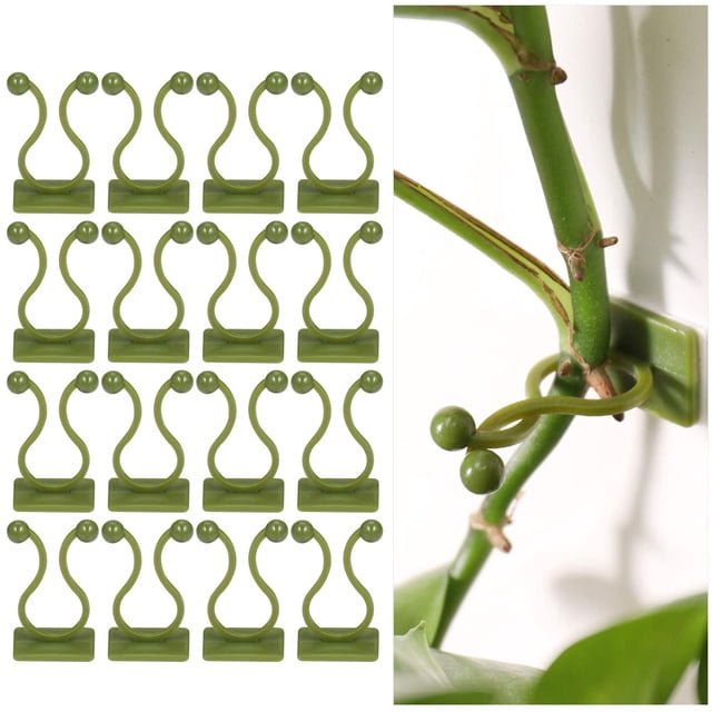 100 piezas Clip de soporte para plantas trepadoras, clips autoadhesivos para plantas, clip de montaje en pared de enredadera verde, fijador de pared, clip de gancho de soporte