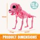 thumbnail image 5 of Decoración JOYIN con forma de esqueleto de perro posable para Halloween, 32 cm, rosa, 5 of 8