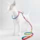 thumbnail image 1 of Collar de perro arcoíris, collares de cachorro ajustables, collar de gato de acero inoxidable, collares de perro para perros pequeños y medianos Kuyhfg Sin marca, 1 of 3