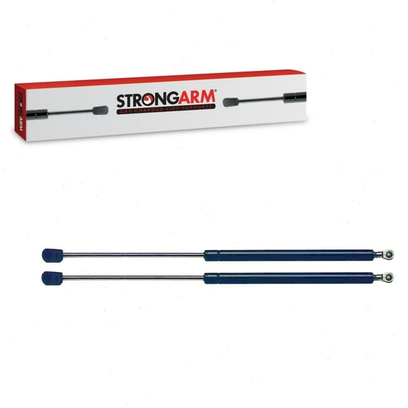 2 pc Strong Arm 4646 Back Glass Lift Supports for 901178 F6DZ7442104A SG304015 Body Windows