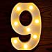 thumbnail image 3 of Yorulory LED Number Lights Sign Light Up Number Sign for Night Light Wedding Birthday Party Battery Powered Christmas Lamp Home Bar (9), 3 of 15