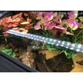 thumbnail image 3 of Plantas de acuario grandes Adorno de decoración de plantas de tanque de peces de plástico artificial para todos los peces, 2 piezas WD.WDQZL Hogar, 3 of 4