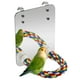 thumbnail image 1 of Espejo para pájaros con percha de cuerda, juguetes para pájaros, columpio, cómoda perca para grises, amazonas, periquitos, cacatúas, agapornis, pinzones, canarios, 1 of 6