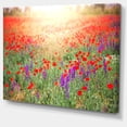 thumbnail image 2 of Expansive Poppy Field At Sunset - Floral Canvas Art Print, 2 of 3
