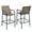 Brown, variant on Crestlive Outdoor Metal Bar Stools Chairs (Set of 2) in Gray Finish