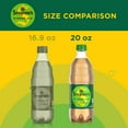 Seagrams Ginger Ale Soda Pop, 20 fl oz Bottle