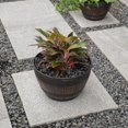 thumbnail image 2 of TRAHOO-Brown Outdoor Rustic Half Barrel Flower Garden Planter Bowl, Plastic, Medium, 2 of 4