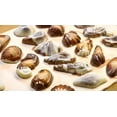 thumbnail image 5 of Guylian Belgium Chocolates Seashell Assortment, 8.8-Ounce Gift Boxes (Pack of 2) - EUROPEAN IMPORT BY SENTOGO INC, 5 of 6
