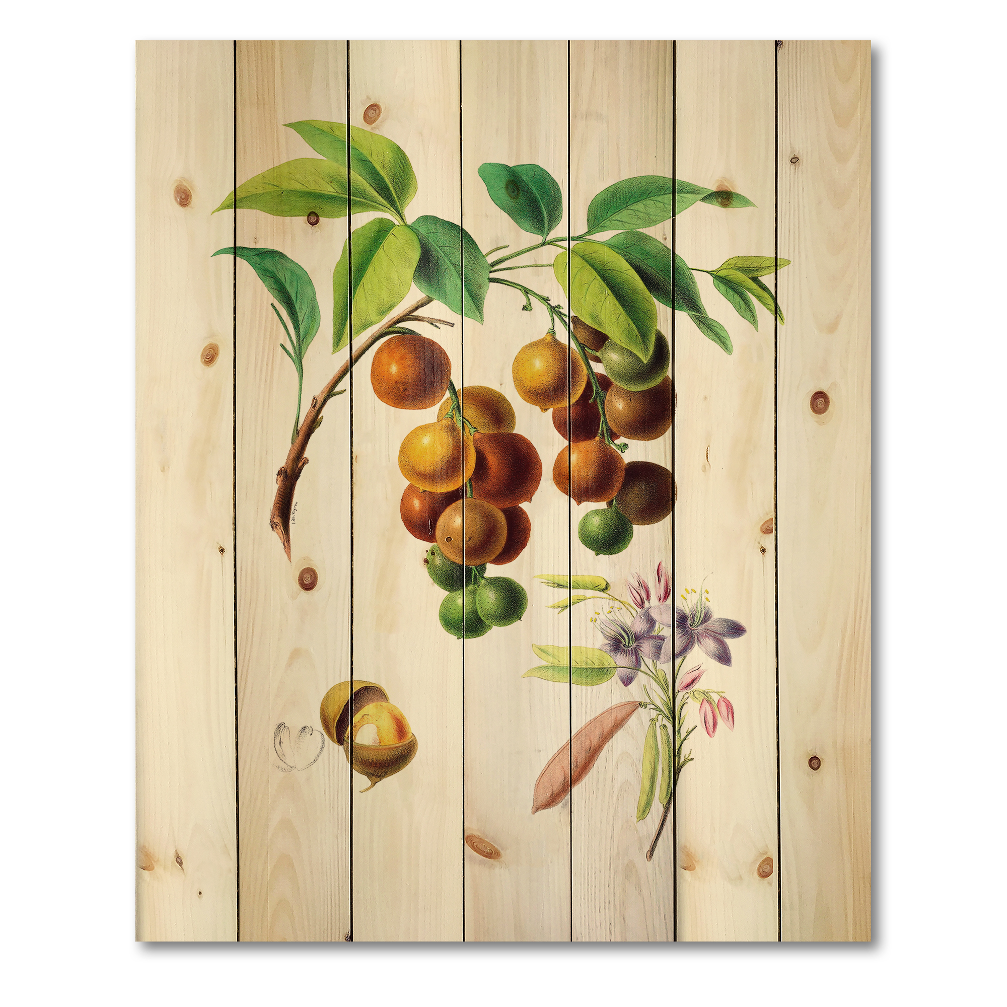 Designart 'Ancient Fruits III' Farmhouse Print on Natural Pine Wood
