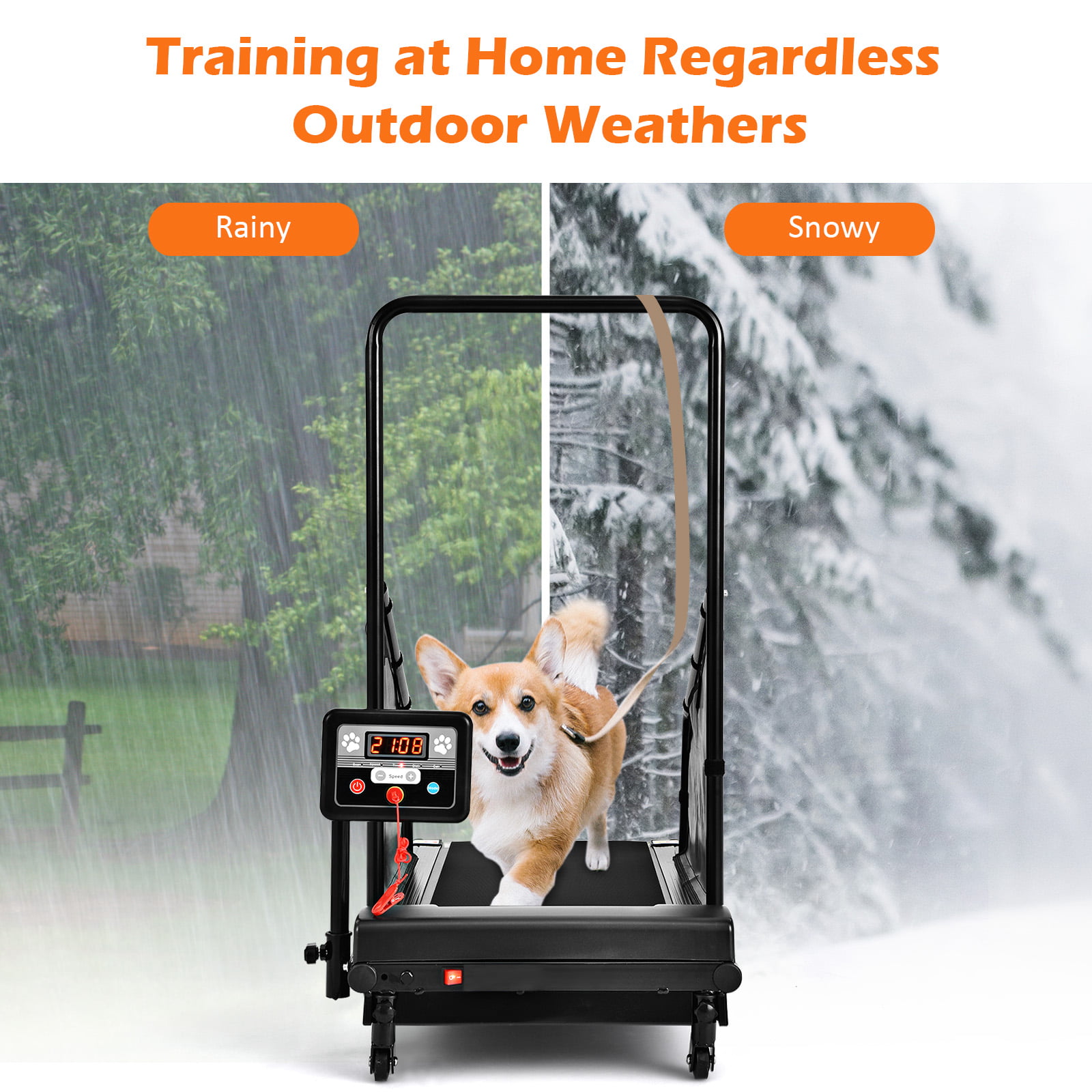 Dog Treadmills Comprehensive Guide√ DOGICA®