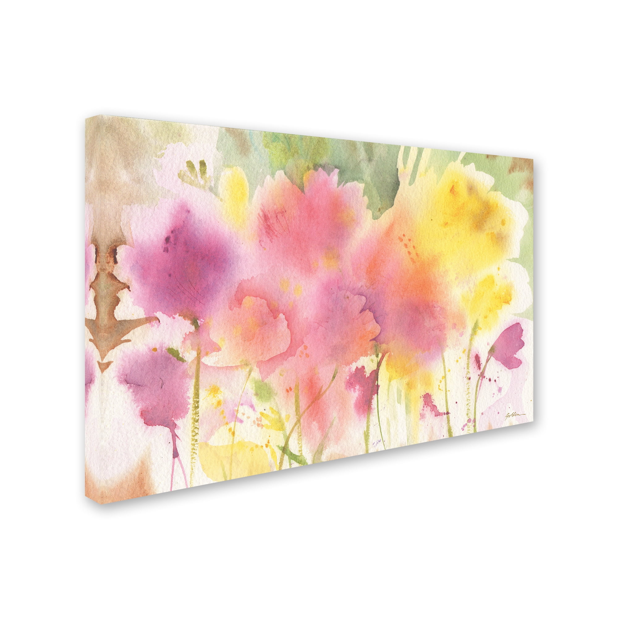 Trademark Fine Art 'Floral Impressions' Canvas Art by Sheila Golden