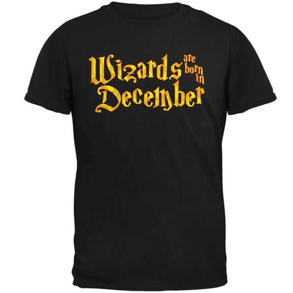 Wizards are born in December Mens T Shirt Black 4X-LG