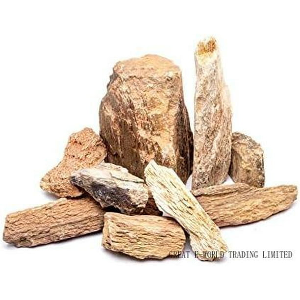 Natural Burmese Petrified Wood Aquarium Stone For Fish Tanks, Aquascape