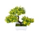thumbnail image 1 of Bonsai de Simulación de Pino Naiovety con Maceta de Plástico Amarillo, 1 of 6