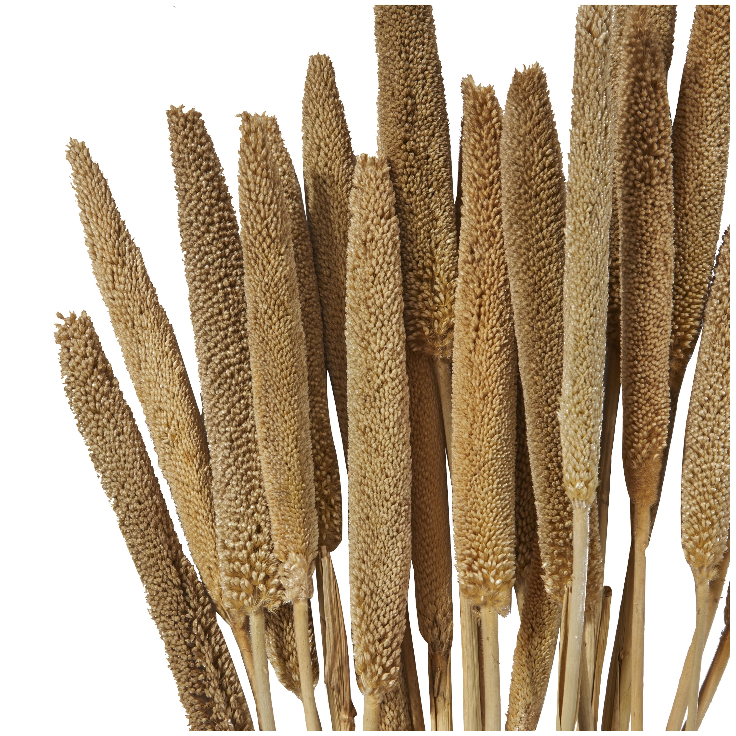 20" Dried Plant Natural Foliage Bunny Tail Bouquet with Long Stems, by DecMode
