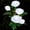 White, variant on Spencer LED Solar Flower Light Waterproof Landscape Lights with 5 Rose Flowers, Solar Garden Lights Floral Outdoor Stake Lights for Patio Yard Lawn Pathway Decor, Blue