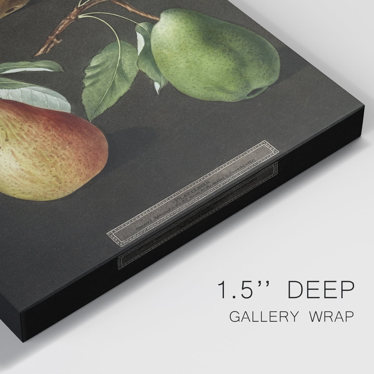 Pear (Pyrus) Premium Gallery Wrapped Canvas - Ready to Hang - 8 x 12