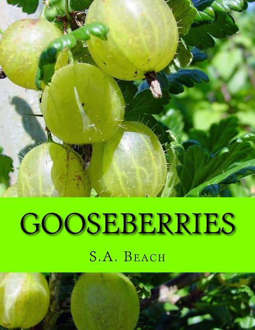 Gooseberries Com, Outdoor Landscapes Canada Gooseberry