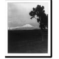thumbnail image 2 of Historic Framed Print, Ecuador. distant view of the snow-capped volcano Cotopaxi seen across the cattle-grazing Valle de Latacunga, 17-7/8" x 21-7/8", 2 of 9