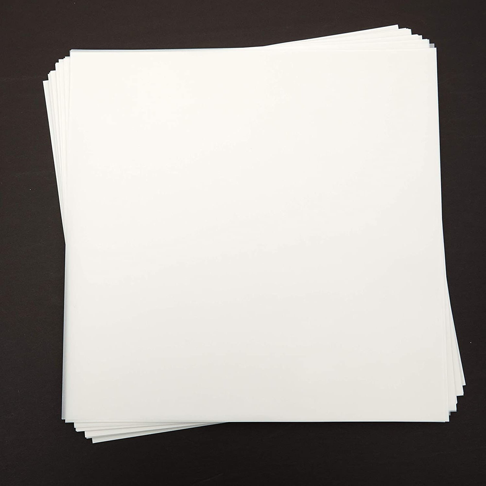 Vellum Paper, Printable Thick Vellum Paper, 113 GSM, 8.3 x 11.5 inch, 40  Sheets, Printable Translucent Paper for Invitation, Cricut,Craft, Bonus  Plastic File Folder : : Arts & Crafts